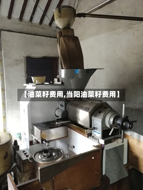 【油菜籽费用,当阳油菜籽费用】