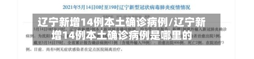 辽宁新增14例本土确诊病例/辽宁新增14例本土确诊病例是哪里的