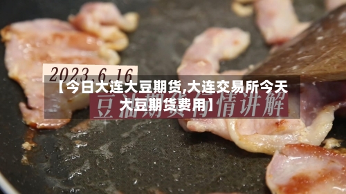【今日大连大豆期货,大连交易所今天大豆期货费用】-第2张图片