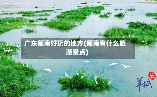 广东郁南好玩的地方(郁南有什么旅游景点)-第3张图片