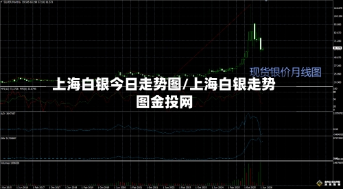 上海白银今日走势图/上海白银走势图金投网-第3张图片