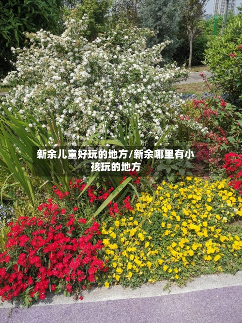 新余儿童好玩的地方/新余哪里有小孩玩的地方