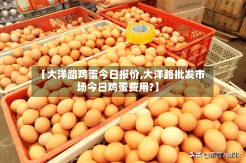 【大洋路鸡蛋今日报价,大洋路批发市场今日鸡蛋费用?】-第2张图片