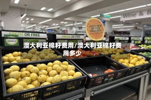 澳大利亚棉籽费用/澳大利亚棉籽费用多少-第2张图片