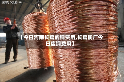 【今日河南长葛的铜费用,长葛铜厂今日废铜费用】-第3张图片
