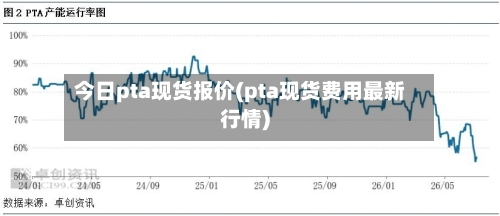 今日pta现货报价(pta现货费用最新行情)-第2张图片
