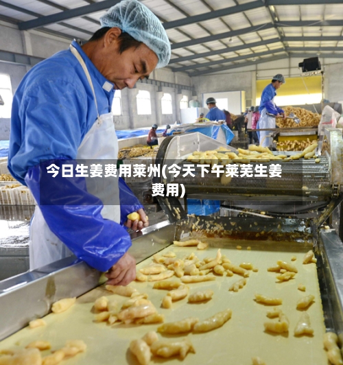 今日生姜费用莱州(今天下午莱芜生姜费用)-第2张图片