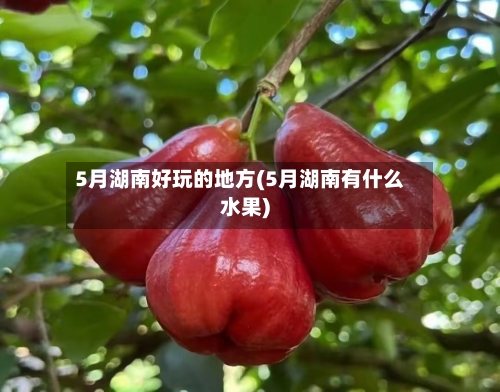 5月湖南好玩的地方(5月湖南有什么水果)-第3张图片