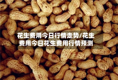 花生费用今日行情走势/花生费用今日花生费用行情预测