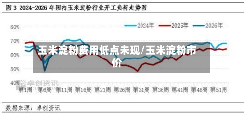 玉米淀粉费用低点未现/玉米淀粉市价-第3张图片