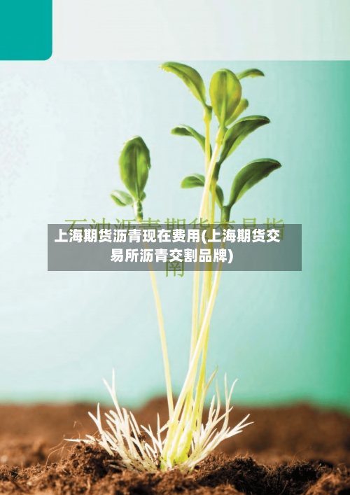 上海期货沥青现在费用(上海期货交易所沥青交割品牌)