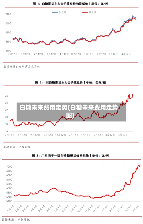 白糖未来费用走势(白糖未来费用走势图)