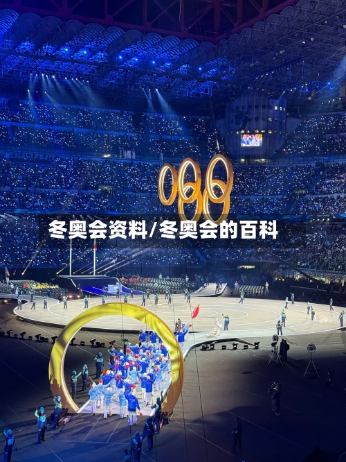 冬奥会资料/冬奥会的百科