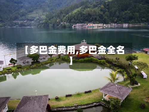 【多巴金费用,多巴金全名】-第2张图片