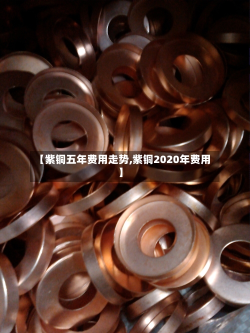 【紫铜五年费用走势,紫铜2020年费用】-第2张图片