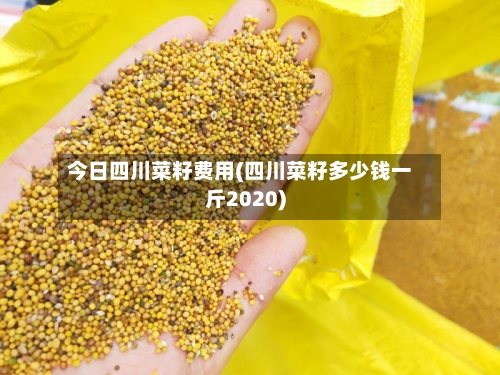 今日四川菜籽费用(四川菜籽多少钱一斤2020)