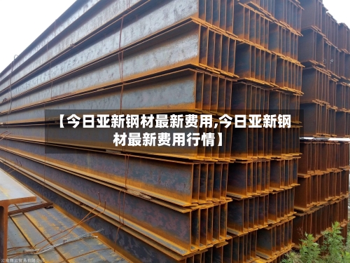 【今日亚新钢材最新费用,今日亚新钢材最新费用行情】-第2张图片