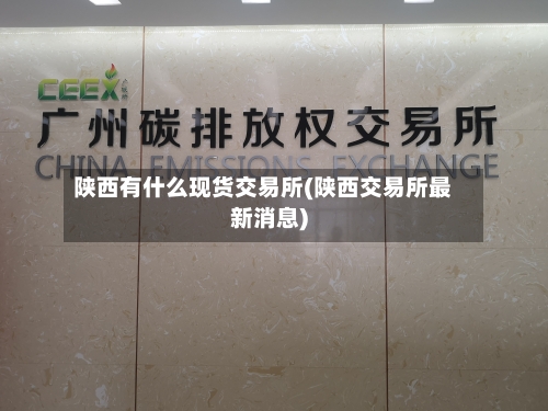 陕西有什么现货交易所(陕西交易所最新消息)-第2张图片