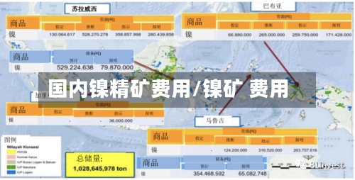国内镍精矿费用/镍矿 费用