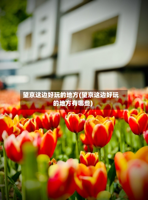 望京这边好玩的地方(望京这边好玩的地方有哪些)