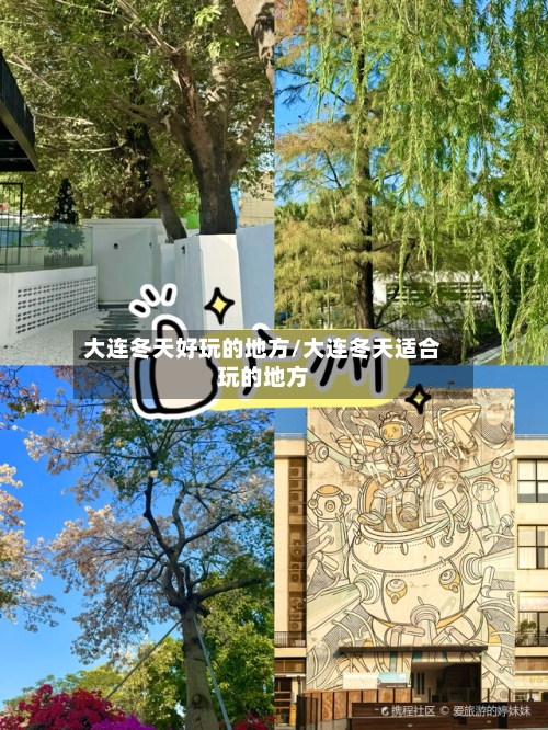 大连冬天好玩的地方/大连冬天适合玩的地方-第2张图片