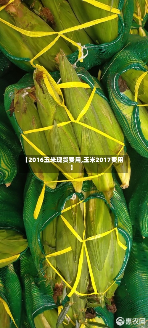 【2016玉米现货费用,玉米2017费用】-第2张图片