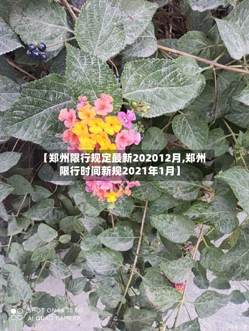 【郑州限行规定最新202012月,郑州限行时间新规2021年1月】-第3张图片