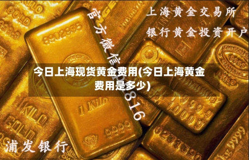 今日上海现货黄金费用(今日上海黄金费用是多少)-第3张图片