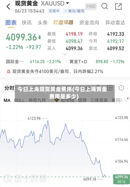 今日上海现货黄金费用(今日上海黄金费用是多少)-第2张图片