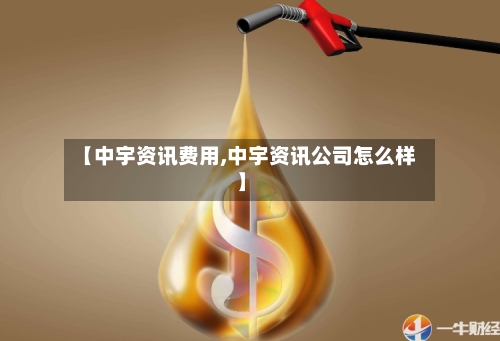 【中宇资讯费用,中宇资讯公司怎么样】-第2张图片
