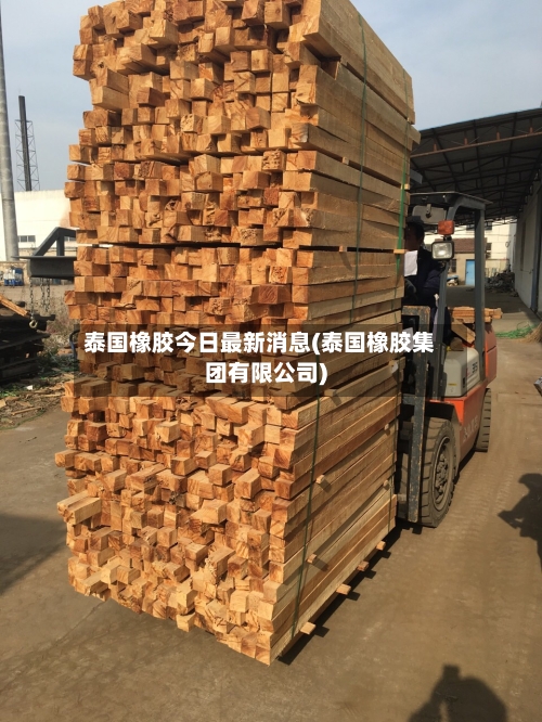 泰国橡胶今日最新消息(泰国橡胶集团有限公司)-第3张图片