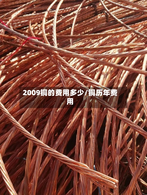 2009铜的费用多少/铜历年费用-第3张图片