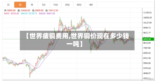 【世界疲铜费用,世界铜价现在多少钱一吨】