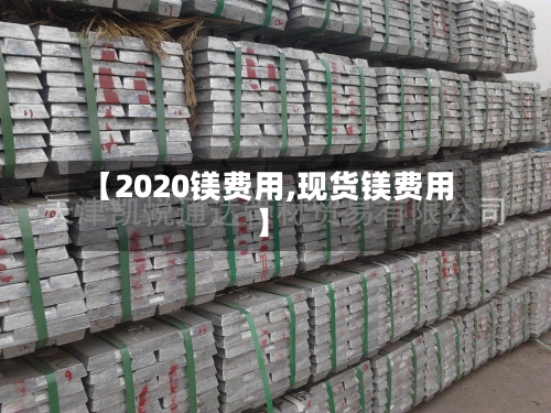 【2020镁费用,现货镁费用】