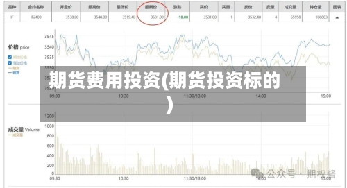 期货费用投资(期货投资标的)-第3张图片