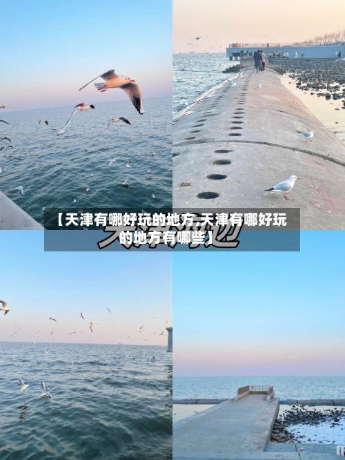 【天津有哪好玩的地方,天津有哪好玩的地方有哪些】