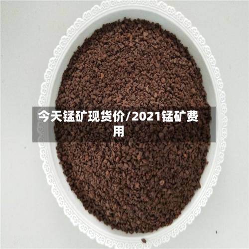 今天锰矿现货价/2021锰矿费用