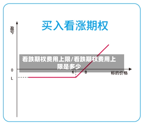 看跌期权费用上限/看跌期权费用上限是多少