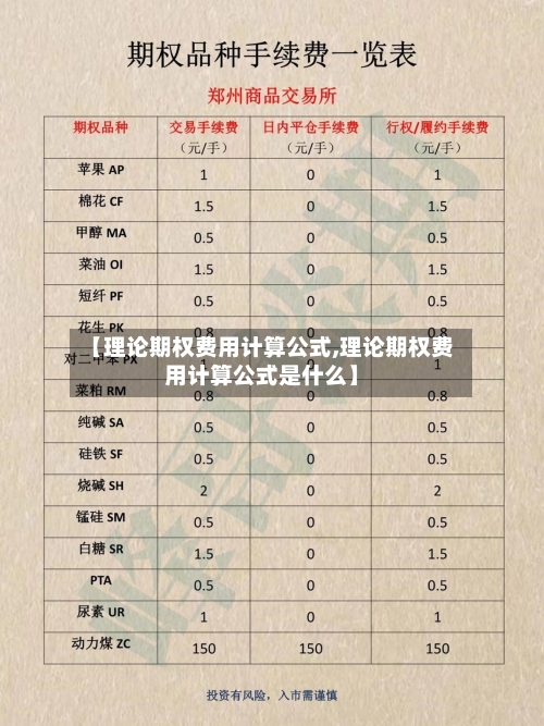 【理论期权费用计算公式,理论期权费用计算公式是什么】-第1张图片
