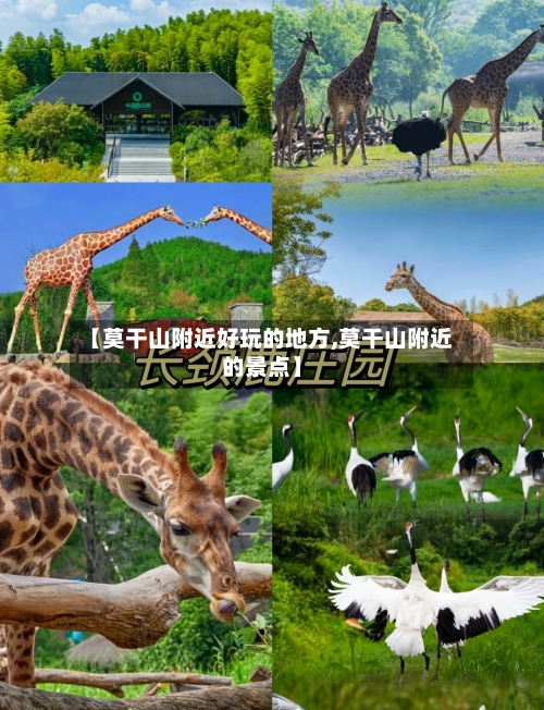 【莫干山附近好玩的地方,莫干山附近的景点】-第3张图片