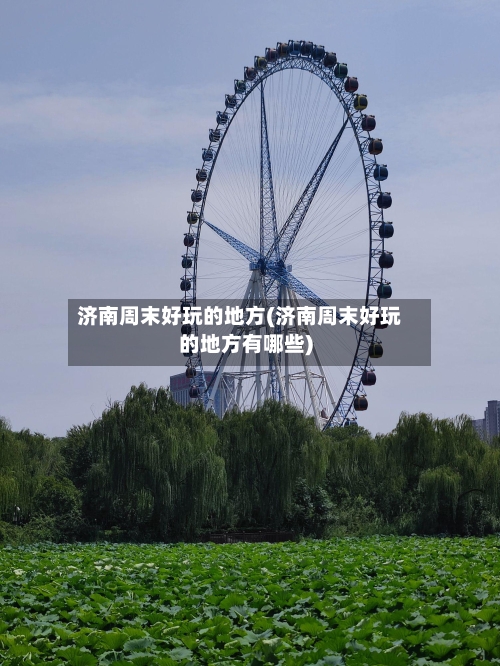 济南周末好玩的地方(济南周末好玩的地方有哪些)