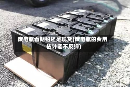 废电瓶看期铅还是现货(废电瓶的费用估计能不反弹)