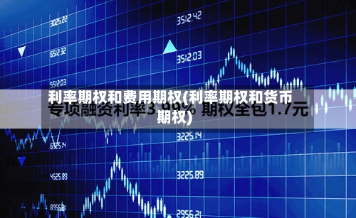 利率期权和费用期权(利率期权和货币期权)