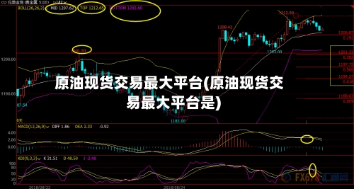 原油现货交易最大平台(原油现货交易最大平台是)-第2张图片