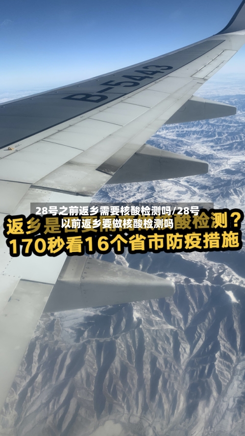 28号之前返乡需要核酸检测吗/28号以前返乡要做核酸检测吗-第2张图片