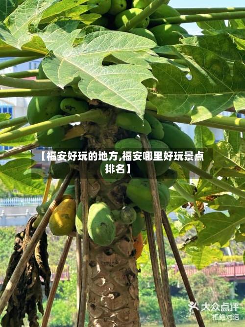 【福安好玩的地方,福安哪里好玩景点排名】