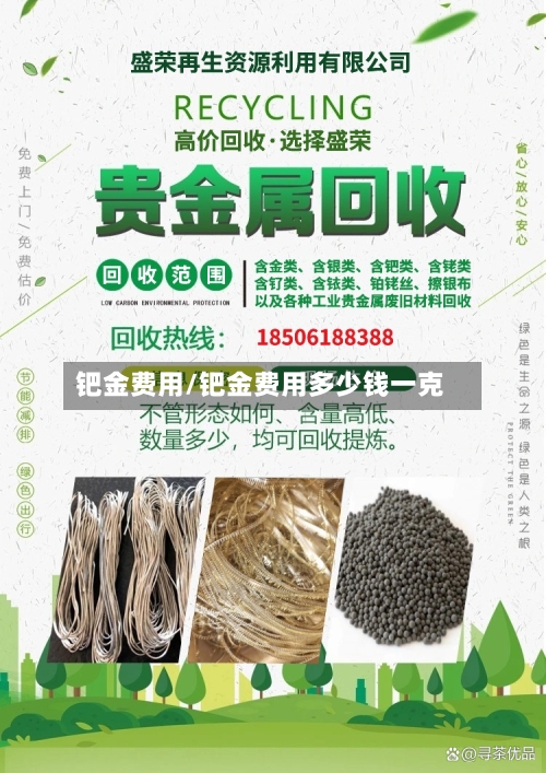 钯金费用/钯金费用多少钱一克-第2张图片