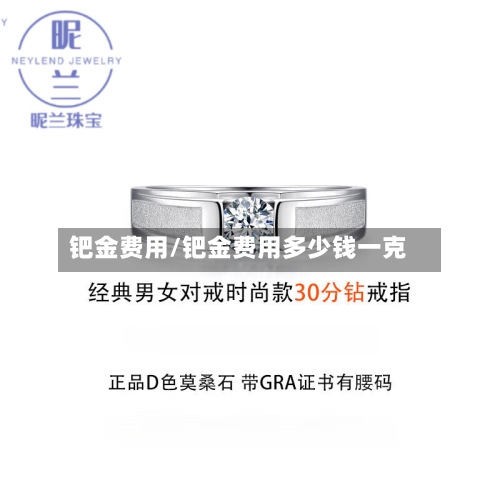 钯金费用/钯金费用多少钱一克