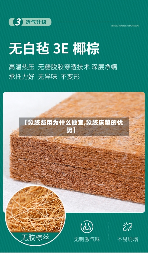 【象胶费用为什么便宜,象胶床垫的优势】