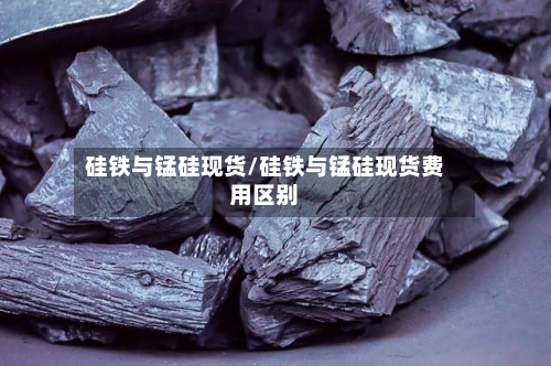 硅铁与锰硅现货/硅铁与锰硅现货费用区别-第2张图片
